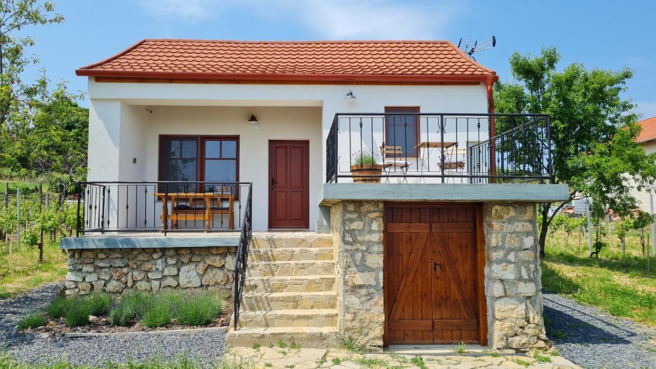 Somlovasarhely Jera Pince Es Vendeghaz 빌라 외부 사진